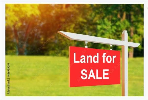 Home Photo - 555 RL 555 Bel-Ami Drive