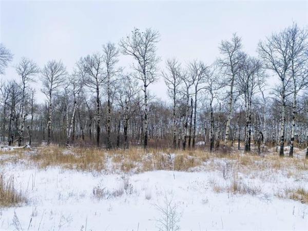 Home Photo - 22 Cyrus Lane