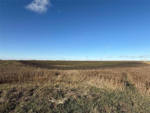 Home Photo - 0 McPhillips Street