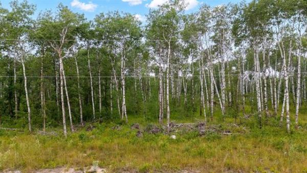 Home Photo - 93 Spence Street