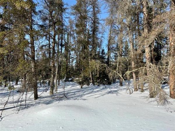 home photo - 37102 ZEBRUN Road