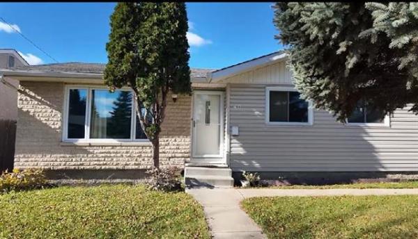 Home Photo - 40 ARROW Street