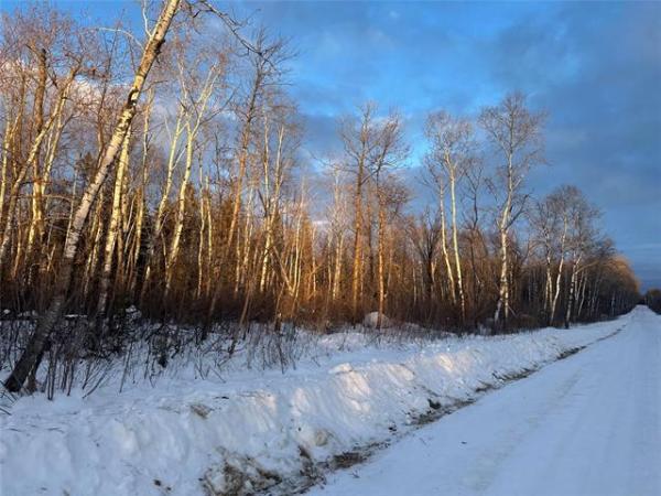 Home Photo - 4 Ironwood Point Road