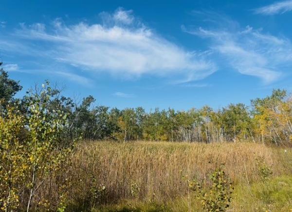 Home Photo - 309 East Lake Shore Road