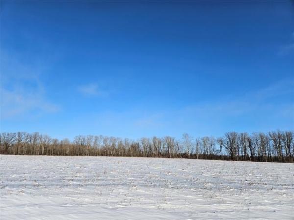 Home Photo - 5 McLennan Lane