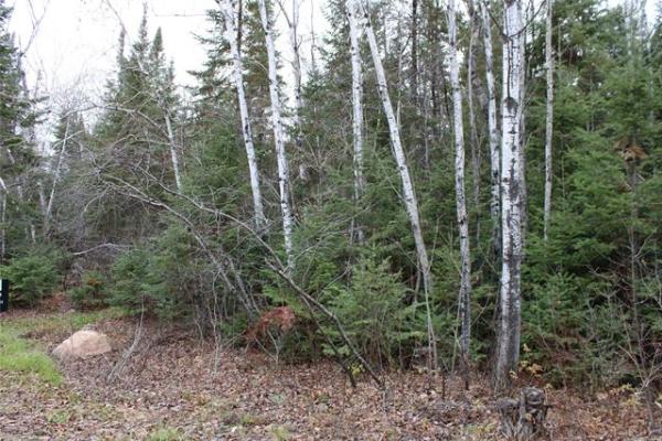 Home Photo - 22 Eastshore Drive