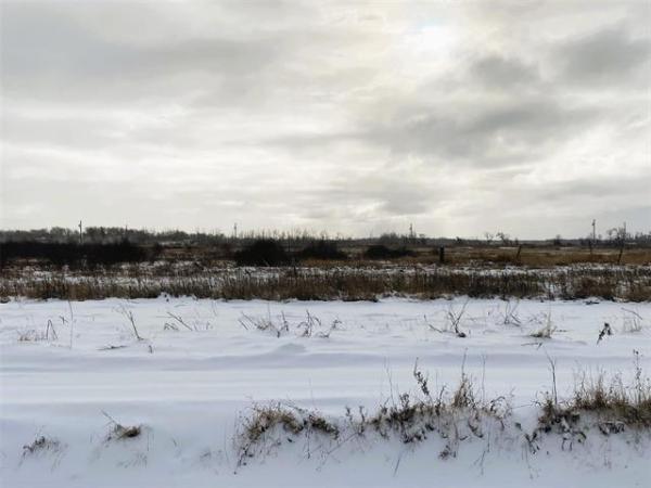 Home Photo - 38 Cyrus Lane