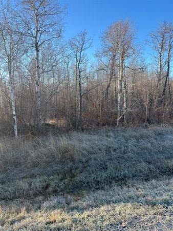 Home Photo - 0 Loewen Boulevard