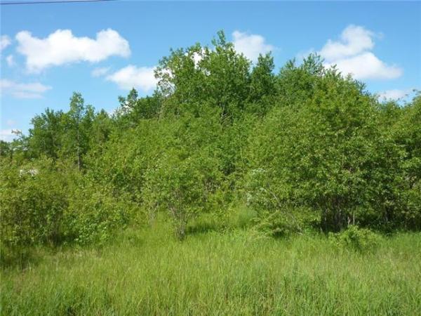 home photo - 0 HOPE Road