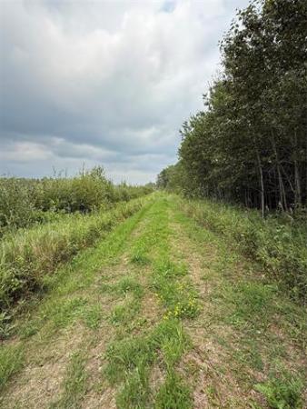 Home Photo - 0 PTH 1 Highway