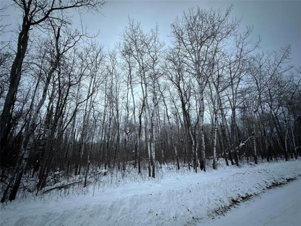 Home Photo - 8 Ironwood Point Road