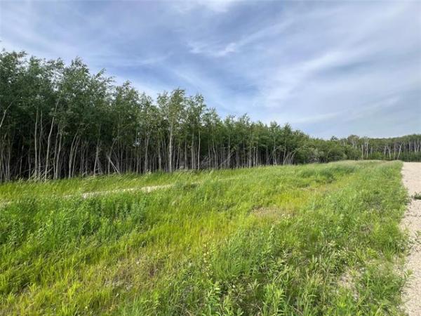 Home Photo - 53 Cameron Drive