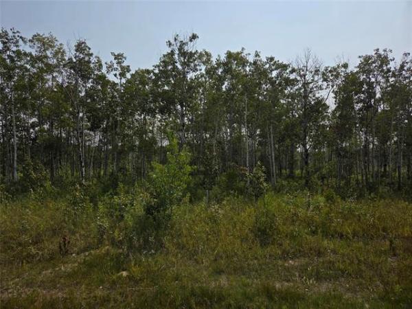 Home Photo - 151 Tilstone Road