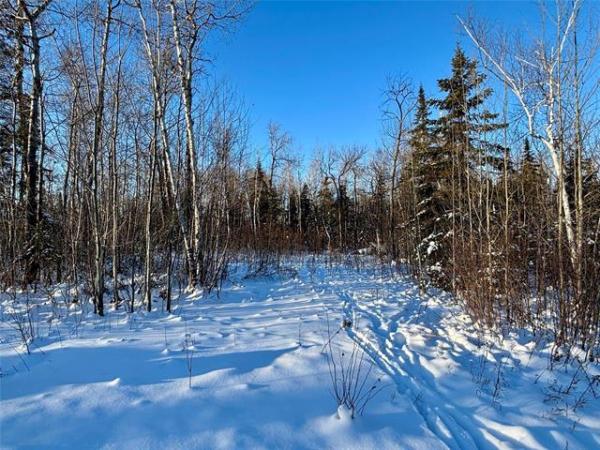 Home Photo - 23 Birch Haven