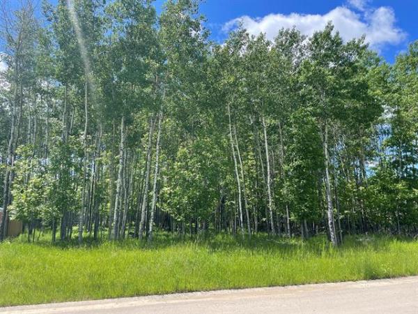 Home Photo - 50 Dalhousie Road