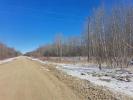 Homes for Sale: 0 Roseau Rapids Road