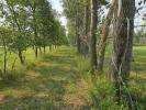 View this property for sale in RM of Cartier, Rural, Winnipeg