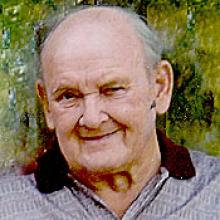 HARRY HERMANN  Obituary pic