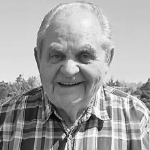 JOSEPH STEVE DOMICH Obituary pic