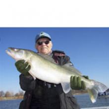LUCIEN (LOU) DESROSIERS  Obituary pic