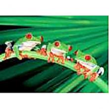 SUZANNE (SUZIE) GIESBRECHT (CURE)  Obituary pic