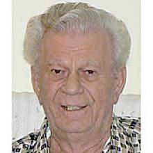 HENRY BRAUN  Obituary pic