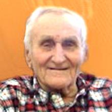 WILLIAM (BILL) TOPORIWSKI (TOPOROWSKI)  Obituary pic