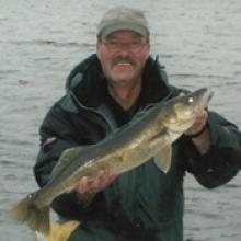 WAYNE BRUCE  Obituary pic