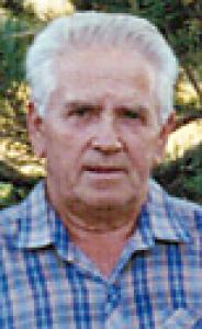 JOSEPH NESTOR  Obituary pic