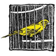 Mourning  Obituary pic