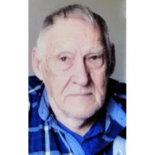 THEODORE HARMS Obituary pic
