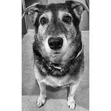KIMBO Obituary pic