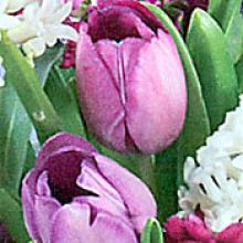 DOREEN LECLAIRE  Obituary pic