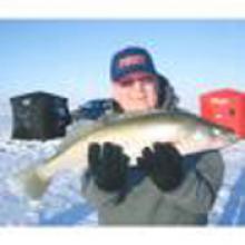 BRIAN GEAREY  Obituary pic