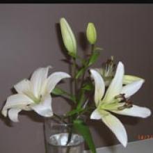 JULIA JARECKI  Obituary pic