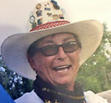 ARLENE SHARRON HAMELIN (DE MEYER)  Obituary pic