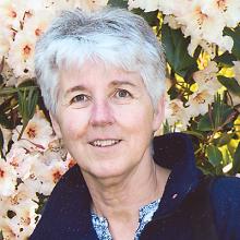 DIANNE HELEN BAIN Obituary pic