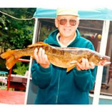 WILLIAM (BILL) PATTERSON  Obituary pic