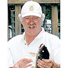 DAVID BRIDGES  Obituary pic