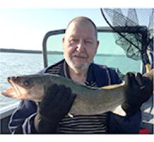 WALTER RYBACK Obituary pic