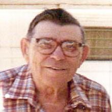 MICHAEL (MIKE) DELL SR.  Obituary pic