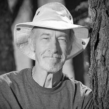 DAVID FREDERICK IVES Obituary pic