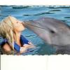 SEBUS, ALYSHA photo