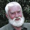 MATTERN, DAVID photo
