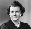 MACDONELL, ASA photo