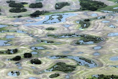 MIKE.DEAL@FREEPRESS.MB.CA 110621 - Tuesday, June 21, 2011 -  Doug Chorney, president Keystone Agricultural Producers flight over South Western Manitoba to check on the condition of farming fields. MIKE DEAL / WINNIPEG FREE PRESS
my2011poy