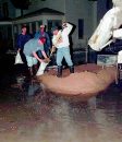 FLOOD OF 1997 ... 