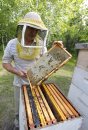 Bee keeper Jim ... 