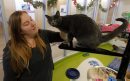 LOCAL - CATS - ... 