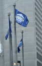 Grey Cup flags ... 